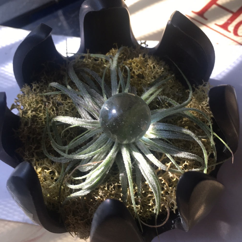 mini clear quartz crystal spheres - free w bundle